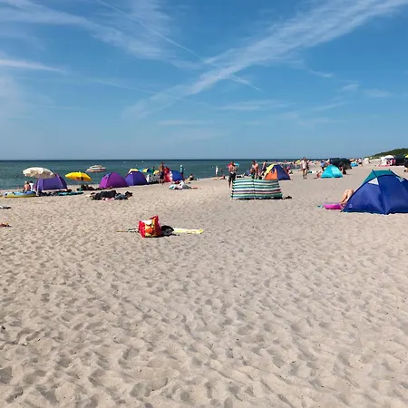 Appartamento Haus Suedwester Knurrhahn *