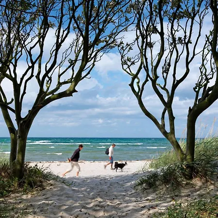 Haus Suedwester Knurrhahn Appartamento Insel Poel